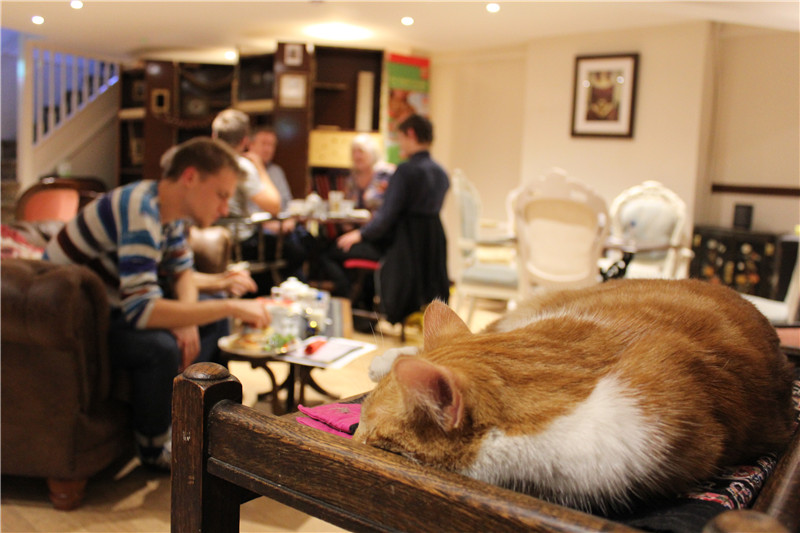 ���}���ȏd������Ůʿ؈���̳ǡ��������Дz��