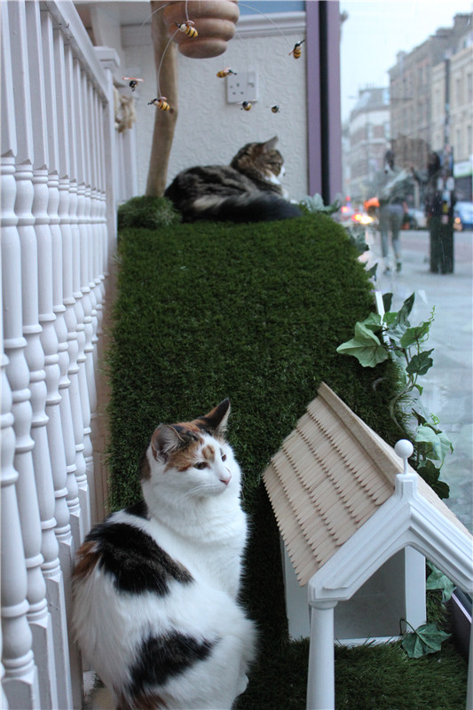 ���}���ȏd������Ůʿ؈���̳ǡ��������Дz��