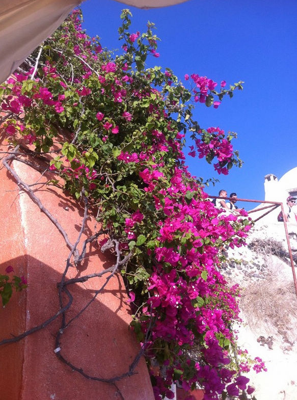 ϣ�D��ӛ���zӰ��������