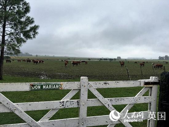 ͽ����19�죨4��24�գ�������͢һƳ